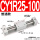 CY1R25-100