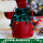 酒红皮桶+圣诞绿绒布袋 1个装 0cm