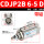 CDJP2B6-5D 带磁