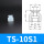TS10S1
