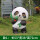 桔色 新款熊猫1