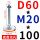 D60-M20*100