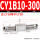 CY1B10-300