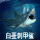 白垩刺甲鲨