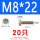 M8*22(20只)