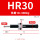 HR30(300kg)