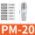 PM20