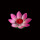 10个粉色【12CM】单层花瓣