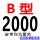 B-2000 Li