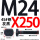M24X250【45#钢T型】
