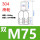 M75(双)(1个)