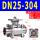 DN25-304