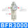 BFR3000(铜滤芯)铁罩