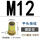 M12(100个装)