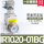 IR1020-01BG(老款) 带指针表和支架
