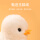 鸡 【6只家福】鹦鹉鸟2+小黄/粉