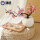 盆景梅花粉色+小波纹瓷花瓶