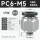黑色PC6-M5(5只)