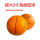 桔色 22.5厘米橘色篮球