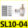 SL10-04