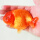 红兰寿苗6-8cm