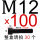 M12x100