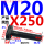 M20X250【45#钢 T型】