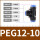 PEG12-10