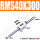 RMS40X300(磁力强)