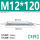 M12*120(5只)