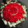99朵红玫瑰花束