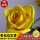 黄玫瑰（一盆4-6棵，月月开，带