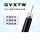 GYXTW-8芯5.6