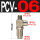 PCV06