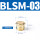 BSLM-03