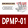 DPMP-01