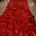 红色褶皱款2.4米宽每米价 按米