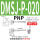 DMSJ-P020-PNP-2