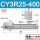 CY3R25-400