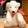 软萌北极熊（红围巾款）  35cm