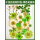 干花压花材料包-绿色花田系30朵