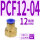 PCF12-04（20个）