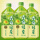 【共8瓶】青梅绿茶1升/瓶