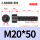 M20*50全(15支)