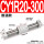 CY1R20-300