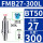 BT50-FMB27-300