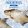 东方欧鳊鱼1kg(1-2条)