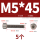 M5*45(5只