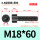 M18*60全(15支)