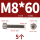 M8*60(5只